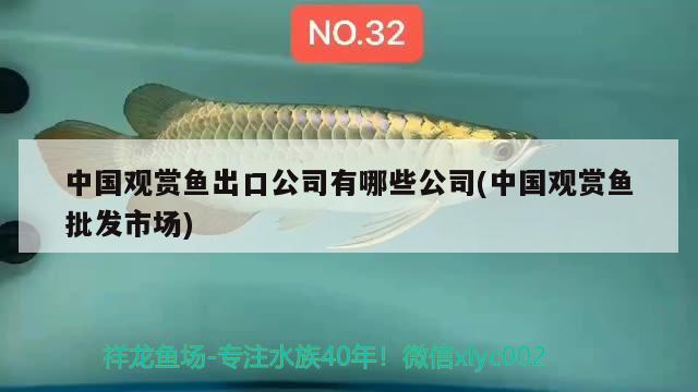 中國(guó)觀賞魚出口公司有哪些公司(中國(guó)觀賞魚批發(fā)市場(chǎng)) 觀賞魚進(jìn)出口