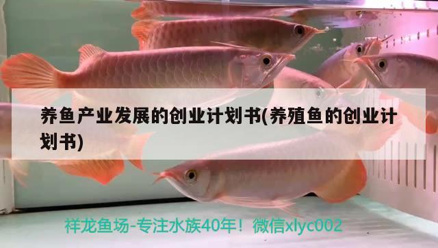 養(yǎng)魚產(chǎn)業(yè)發(fā)展的創(chuàng)業(yè)計(jì)劃書(養(yǎng)殖魚的創(chuàng)業(yè)計(jì)劃書) 赤荔鳳冠魚