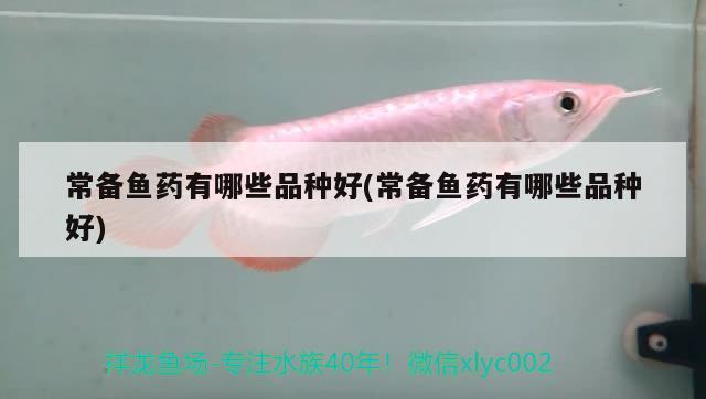 常備魚藥有哪些品種好(常備魚藥有哪些品種好)