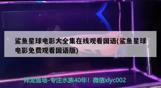 鯊魚星球電影大全集在線觀看國(guó)語(yǔ)(鯊魚星球電影免費(fèi)觀看國(guó)語(yǔ)版)