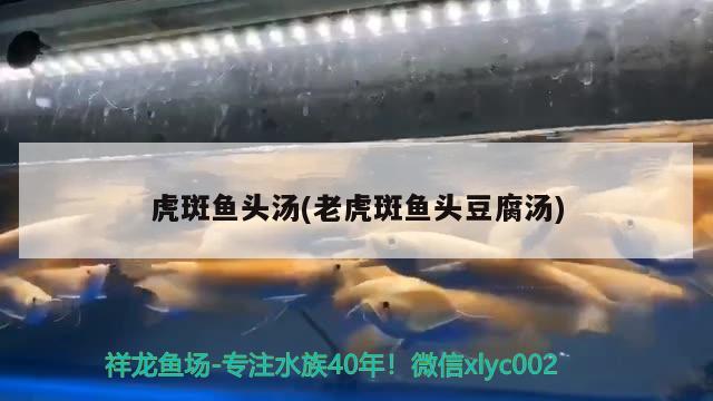 虎斑魚頭湯(老虎斑魚頭豆腐湯)