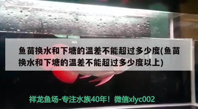 魚苗換水和下塘的溫差不能超過多少度(魚苗換水和下塘的溫差不能超過多少度以上) 南美異型魚