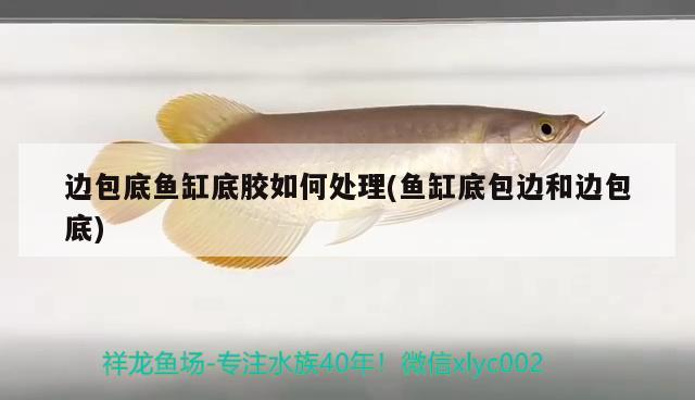 邊包底魚缸底膠如何處理(魚缸底包邊和邊包底)