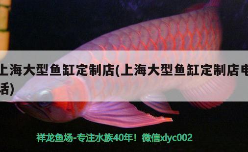 上海大型魚缸定制店(上海大型魚缸定制店電話)