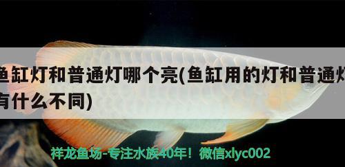 魚缸燈和普通燈哪個(gè)亮(魚缸用的燈和普通燈有什么不同) 森森魚缸 第2張