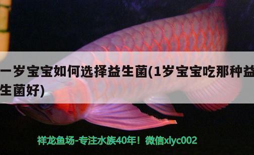 一歲寶寶如何選擇益生菌(1歲寶寶吃那種益生菌好) 金頭過背金龍魚