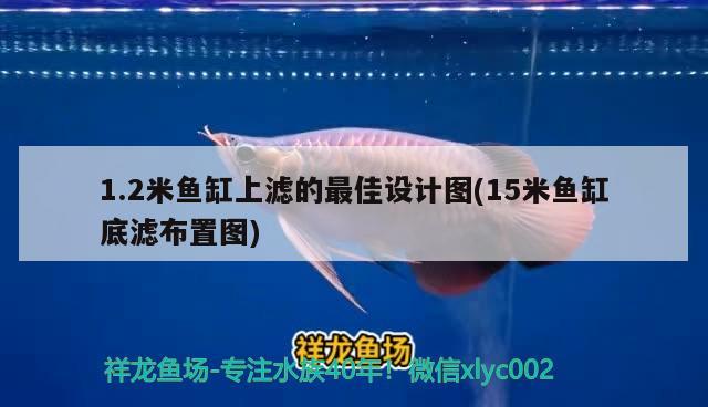 1.2米魚缸上濾的最佳設(shè)計圖(15米魚缸底濾布置圖) 祥龍金禾金龍魚