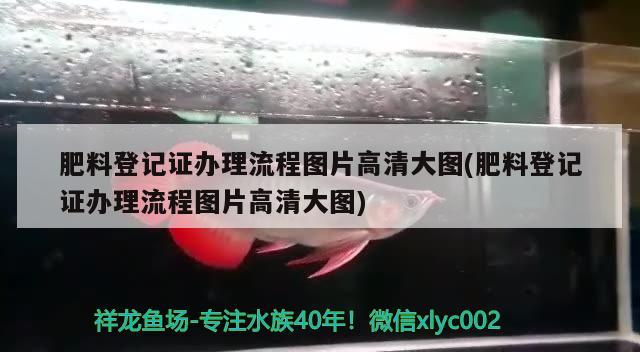 肥料登記證辦理流程圖片高清大圖(肥料登記證辦理流程圖片高清大圖) 肥料