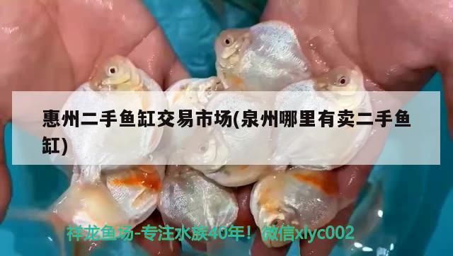 惠州二手魚缸交易市場(泉州哪里有賣二手魚缸) 蘇虎