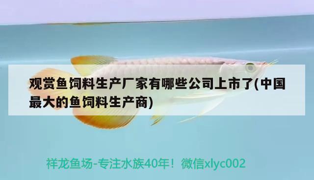 觀賞魚(yú)飼料生產(chǎn)廠家有哪些公司上市了(中國(guó)最大的魚(yú)飼料生產(chǎn)商) 祥龍魚(yú)場(chǎng)