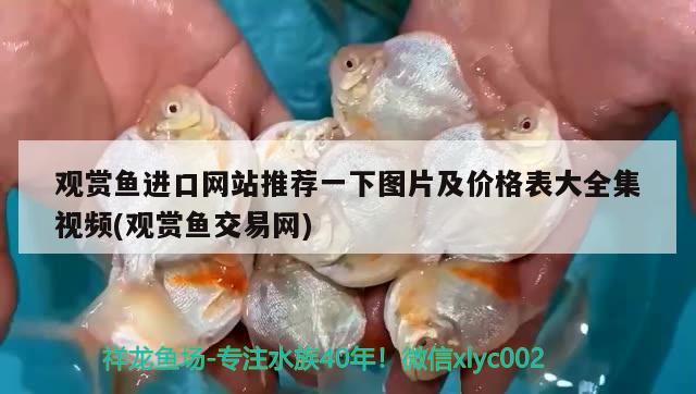 觀賞魚進(jìn)口網(wǎng)站推薦一下圖片及價(jià)格表大全集視頻(觀賞魚交易網(wǎng))