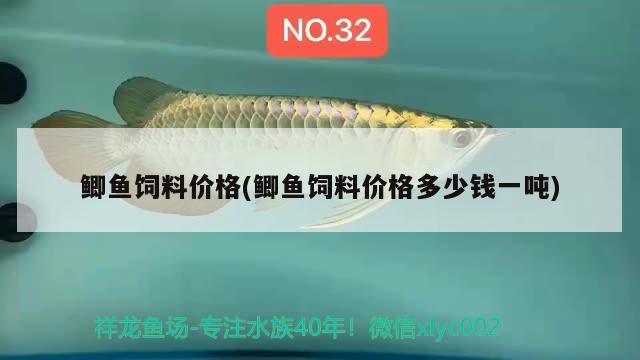 鯽魚飼料價格(鯽魚飼料價格多少錢一噸) 圖騰金龍魚