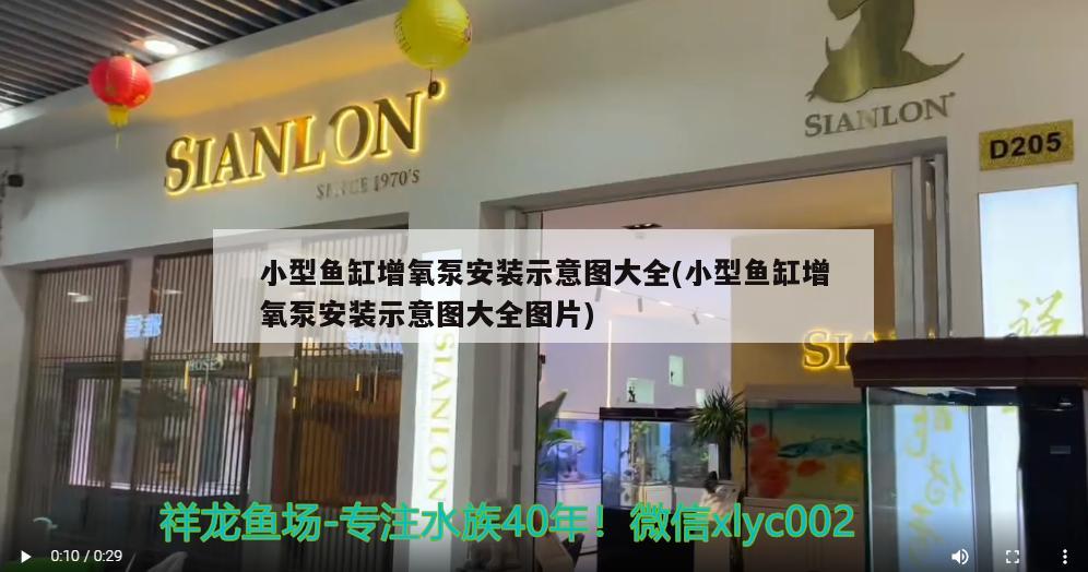 小型魚缸增氧泵安裝示意圖大全(小型魚缸增氧泵安裝示意圖大全圖片) 白子金龍魚