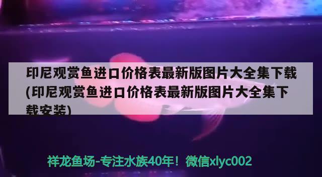 印尼觀賞魚(yú)進(jìn)口價(jià)格表最新版圖片大全集下載(印尼觀賞魚(yú)進(jìn)口價(jià)格表最新版圖片大全集下載安裝) 觀賞魚(yú)進(jìn)出口