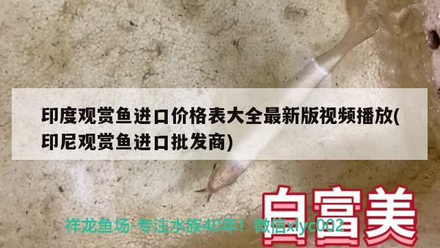 印度觀賞魚進(jìn)口價格表大全最新版視頻播放(印尼觀賞魚進(jìn)口批發(fā)商)