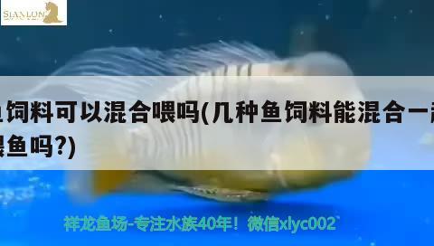 魚飼料可以混合喂嗎(幾種魚飼料能混合一起喂魚嗎？) 哥倫比亞巨暴魚苗