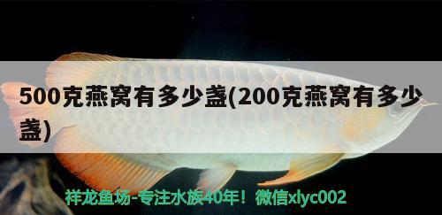 500克燕窩有多少盞(200克燕窩有多少盞) 馬來西亞燕窩