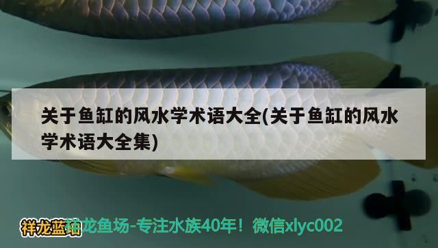 關于魚缸的風水學術語大全(關于魚缸的風水學術語大全集) 魚缸風水