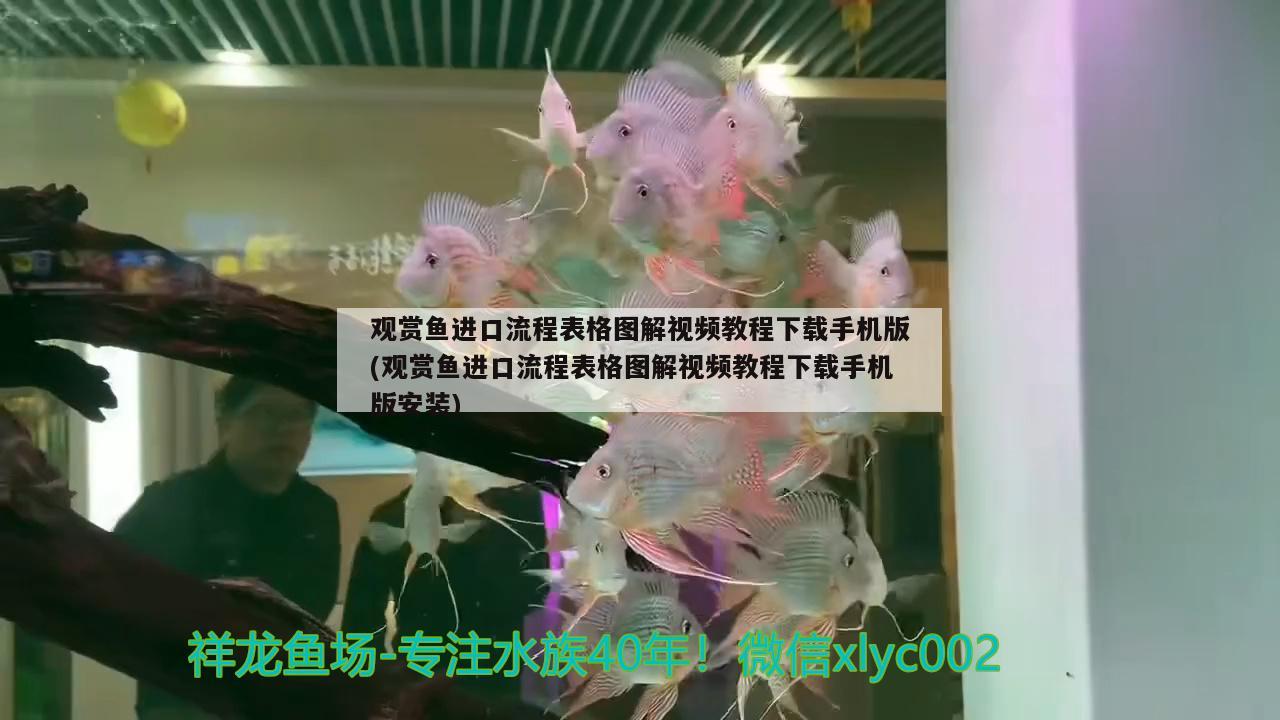 觀賞魚進口流程表格圖解視頻教程下載手機版(觀賞魚進口流程表格圖解視頻教程下載手機版安裝)