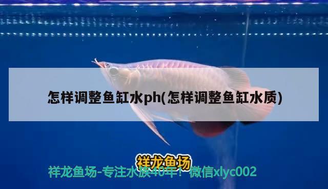 怎樣調(diào)整魚(yú)缸水ph(怎樣調(diào)整魚(yú)缸水質(zhì)) 金龍魚(yú)糧