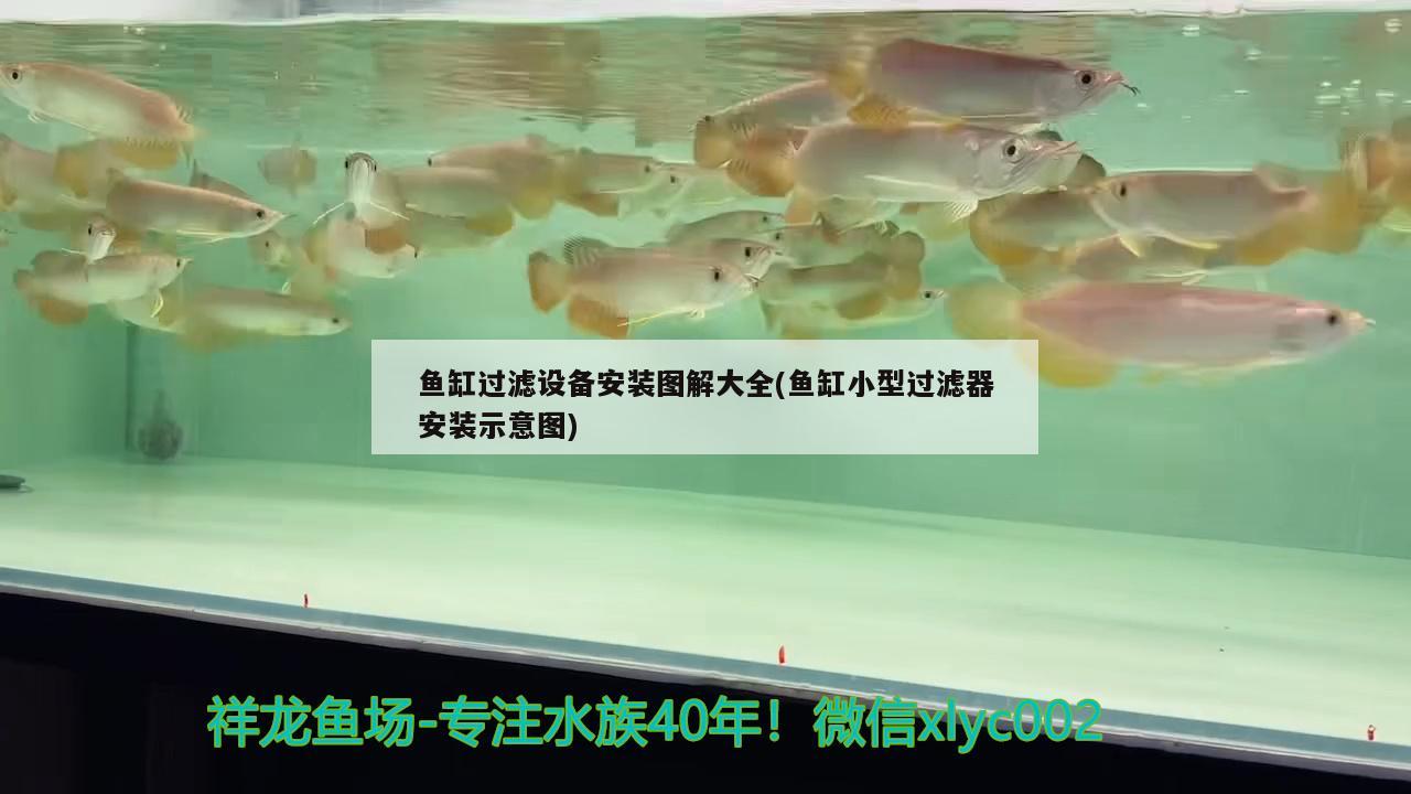 魚缸過濾設(shè)備安裝圖解大全(魚缸小型過濾器安裝示意圖) 過濾設(shè)備