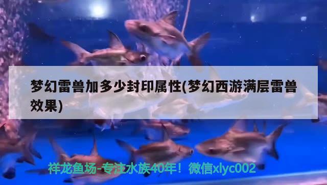 夢幻雷獸加多少封印屬性(夢幻西游滿層雷獸效果) 2024第28屆中國國際寵物水族展覽會CIPS（長城寵物展2024 CIPS）