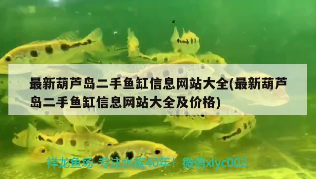 最新葫蘆島二手魚缸信息網站大全(最新葫蘆島二手魚缸信息網站大全及價格) 黑桃A魚