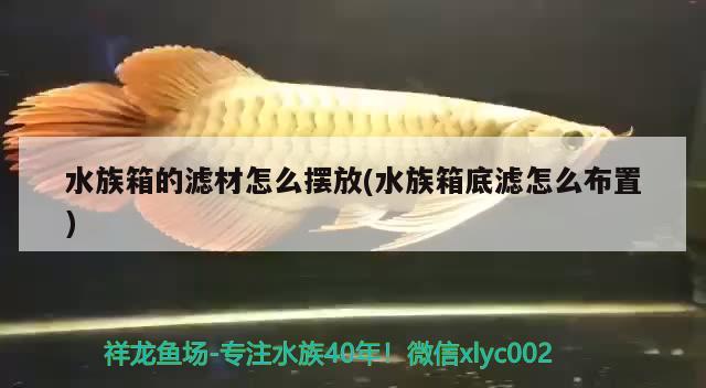 水族箱的濾材怎么擺放(水族箱底濾怎么布置) 魚缸/水族箱