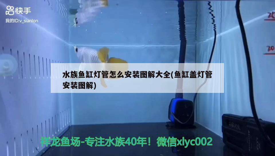 水族魚缸燈管怎么安裝圖解大全(魚缸蓋燈管安裝圖解)