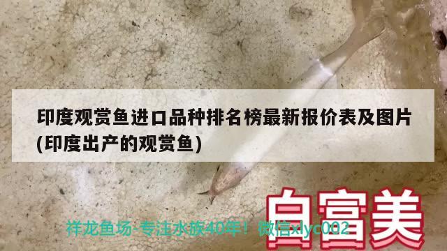 印度觀賞魚進(jìn)口品種排名榜最新報(bào)價(jià)表及圖片(印度出產(chǎn)的觀賞魚)