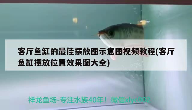 客廳魚缸的最佳擺放圖示意圖視頻教程(客廳魚缸擺放位置效果圖大全) 虎魚百科