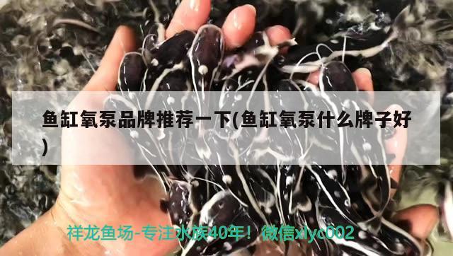 魚缸氧泵品牌推薦一下(魚缸氧泵什么牌子好) 肥料