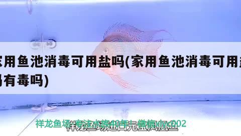 家用魚池消毒可用鹽嗎(家用魚池消毒可用鹽嗎有毒嗎) 大嘴鯨魚