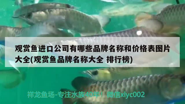 觀賞魚進(jìn)口公司有哪些品牌名稱和價(jià)格表圖片大全(觀賞魚品牌名稱大全排行榜) 觀賞魚進(jìn)出口