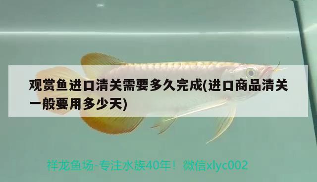 觀賞魚進(jìn)口清關(guān)需要多久完成(進(jìn)口商品清關(guān)一般要用多少天) 觀賞魚進(jìn)出口