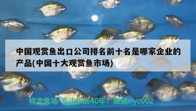 中國觀賞魚出口公司排名前十名是哪家企業(yè)的產(chǎn)品(中國十大觀賞魚市場) 觀賞魚進出口 第3張