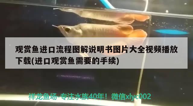 觀賞魚進口流程圖解說明書圖片大全視頻播放下載(進口觀賞魚需要的手續(xù))