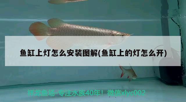 魚缸上燈怎么安裝圖解(魚缸上的燈怎么開)