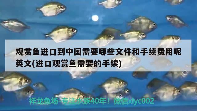 觀賞魚進(jìn)口到中國需要哪些文件和手續(xù)費(fèi)用呢英文(進(jìn)口觀賞魚需要的手續(xù)) 觀賞魚進(jìn)出口 第2張