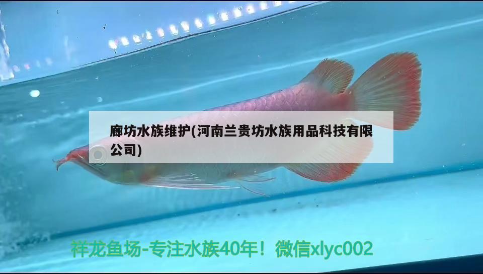 廊坊水族維護(河南蘭貴坊水族用品科技有限公司) 水族用品