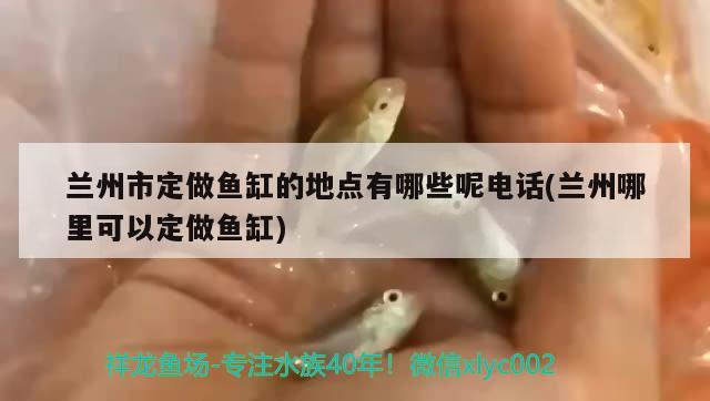 蘭州市定做魚缸的地點(diǎn)有哪些呢電話(蘭州哪里可以定做魚缸) 元寶鳳凰魚專用魚糧