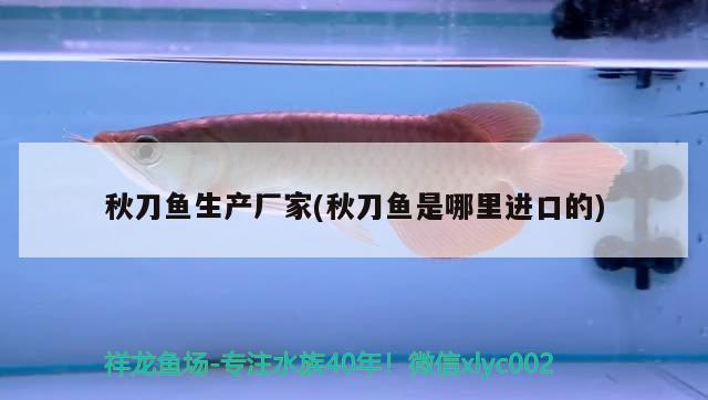 秋刀魚生產(chǎn)廠家(秋刀魚是哪里進(jìn)口的)