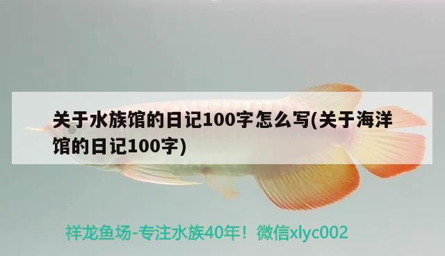 關(guān)于水族館的日記100字怎么寫(關(guān)于海洋館的日記100字) 虎紋銀版魚(yú)