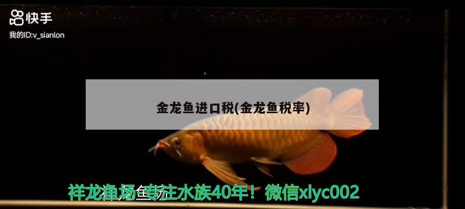 金龍魚(yú)進(jìn)口稅(金龍魚(yú)稅率)