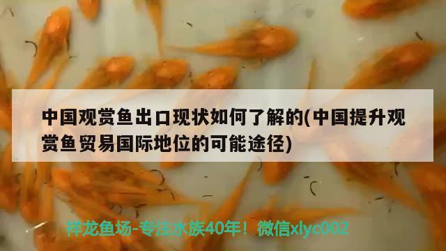 中國觀賞魚出口現(xiàn)狀如何了解的(中國提升觀賞魚貿(mào)易國際地位的可能途徑) 觀賞魚進出口