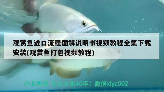 觀賞魚進(jìn)口流程圖解說明書視頻教程全集下載安裝(觀賞魚打包視頻教程)