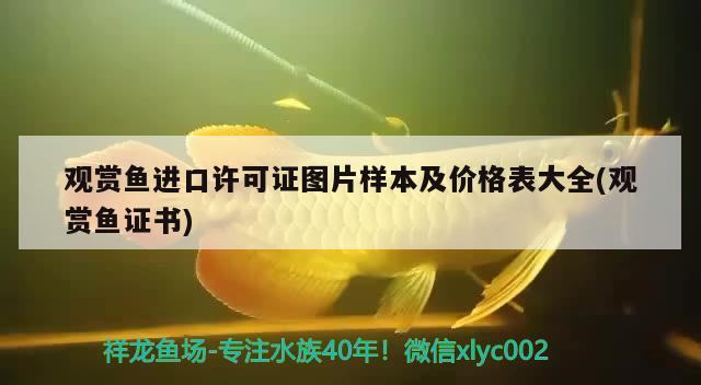 觀賞魚進(jìn)口許可證圖片樣本及價(jià)格表大全(觀賞魚證書) 觀賞魚進(jìn)出口