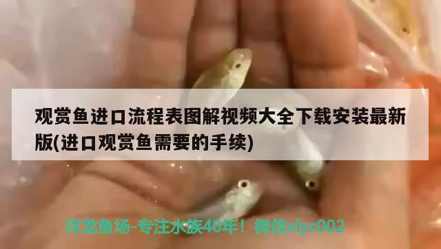 觀賞魚進(jìn)口流程表圖解視頻大全下載安裝最新版(進(jìn)口觀賞魚需要的手續(xù)) 觀賞魚進(jìn)出口 第1張