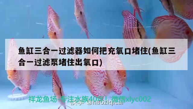 魚缸三合一過濾器如何把充氧口堵住(魚缸三合一過濾泵堵住出氧口) 魚缸清潔用具