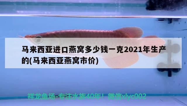 馬來西亞進口燕窩多少錢一克2021年生產(chǎn)的(馬來西亞燕窩市價)